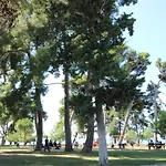 Dea, 180 M From The דירה