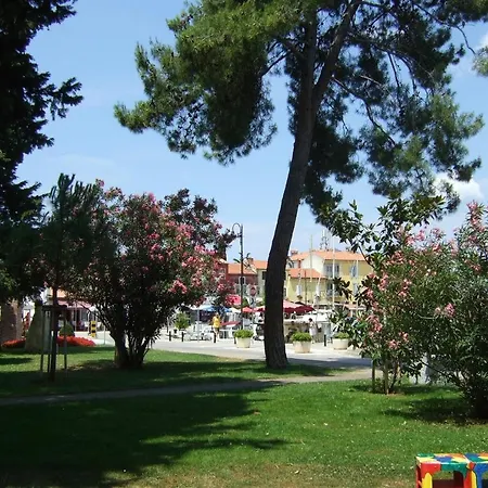 Dea, 180 M From The * Новиград